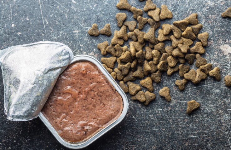 The Pros and Cons of Wet vs. Dry Dog Food