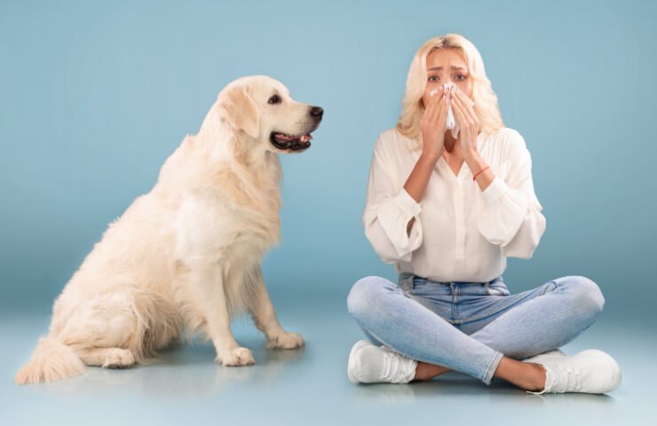 Sneezing dog