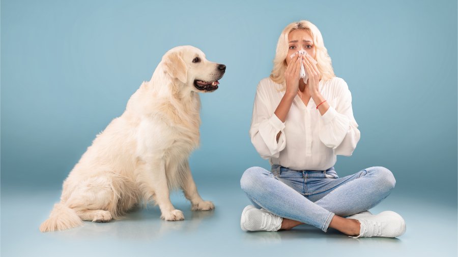 Sneezing dog